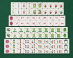 Wild Mahjong Tile Set